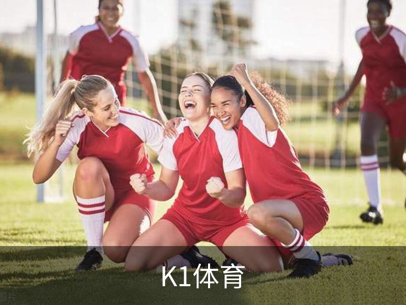 了解K1体育